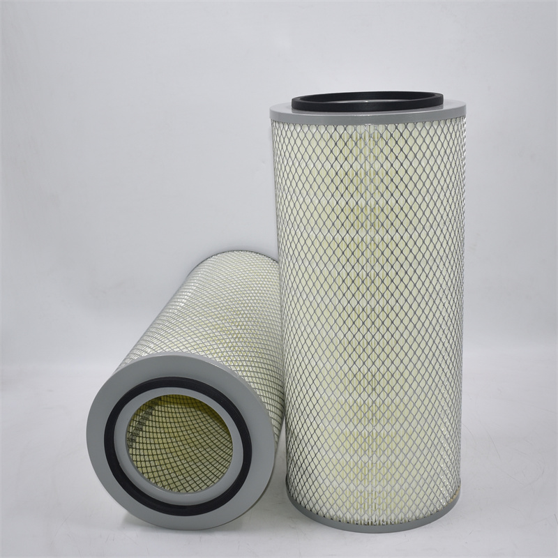 Fornitore professionale di filtri dell'aria esterni KW2452