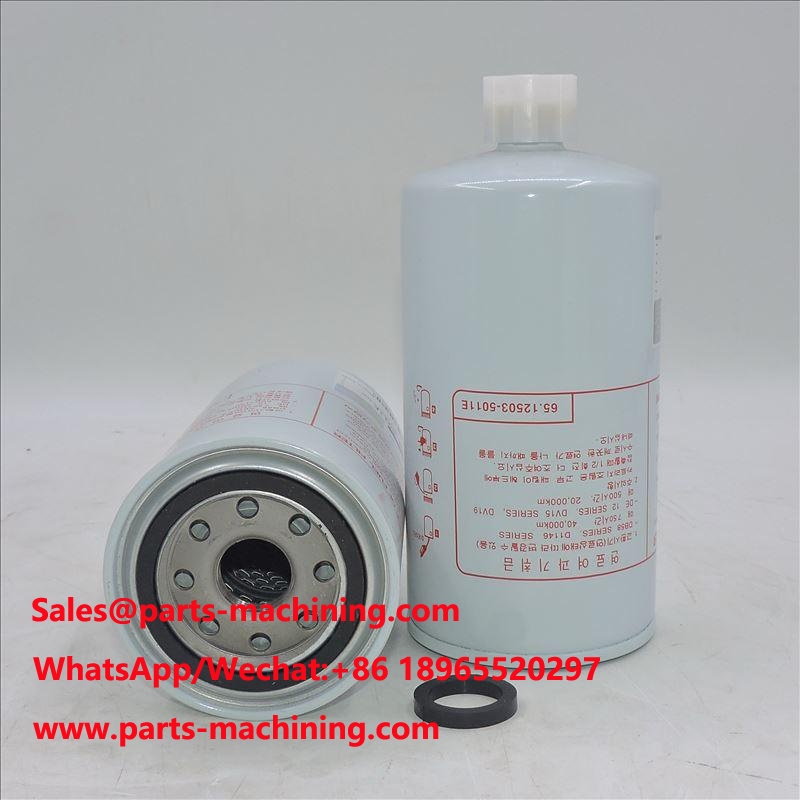 filtro carburante 65.12503-5011E P558000 SN 1212 FS1212
