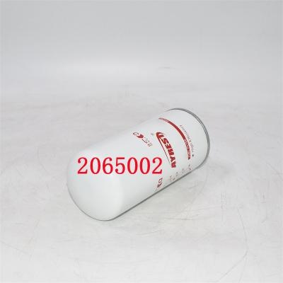 2065002 Filtro carburante 2002041593 Sostituzione