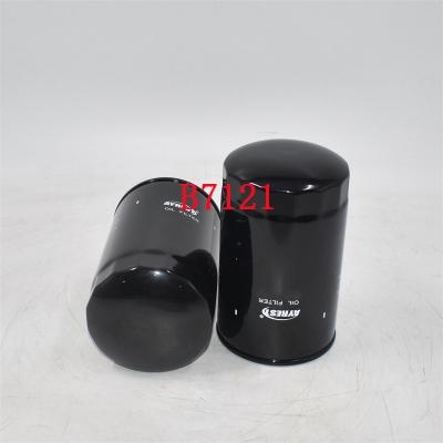 B7121 Filtro olio C-5808 Personalizzato