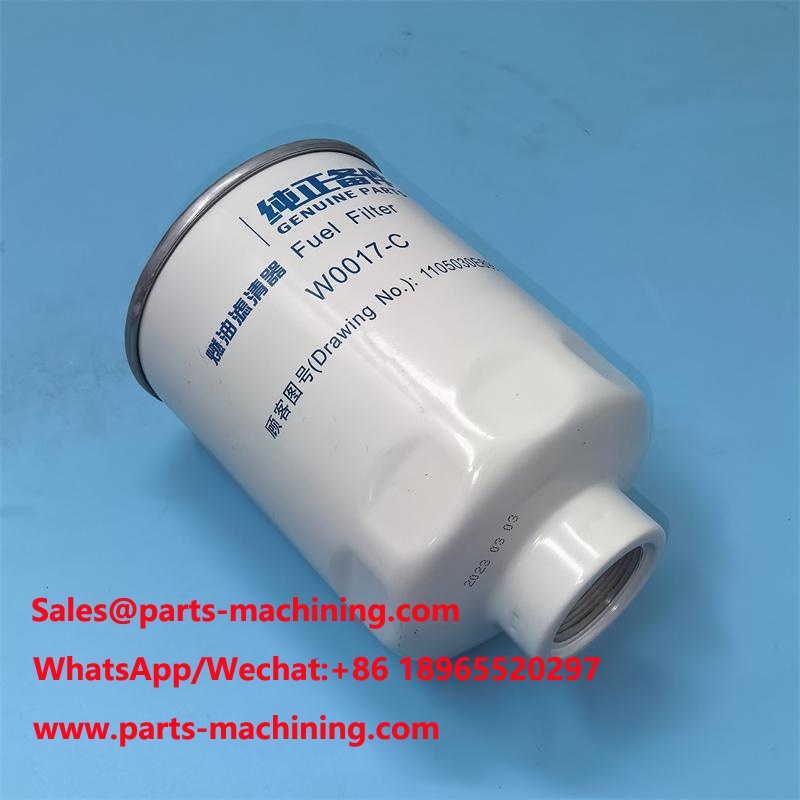 Sostituzione del filtro del carburante W0017-C W0017C