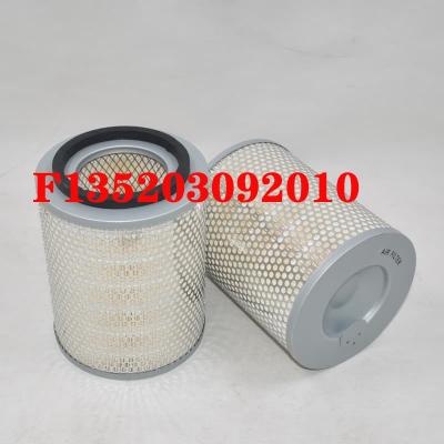 Air Filter F135203092010